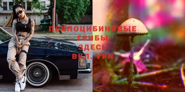 кокс Баксан