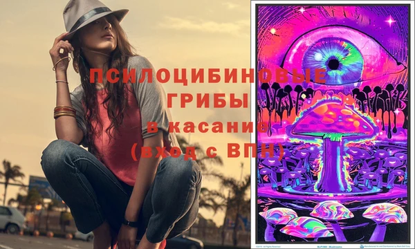 кокс Баксан