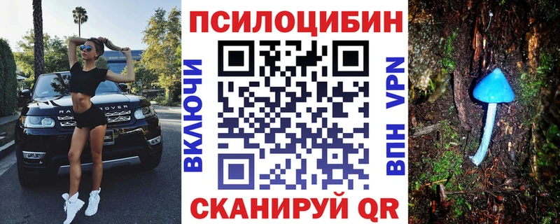 Псилоцибиновые грибы прущие грибы  Афипский 